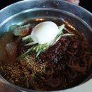 오션트리 이미지