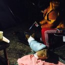 민캠프