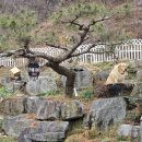 풍경이있는펜션 이미지