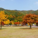 배론성지 이미지