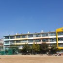 서울영일초등학교 네이버블로그