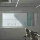 MAVE 헤어