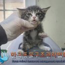 영빈아트빌라 티스토리
