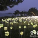 현내면           행정복지센터 이미지