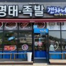 갠차나유 이미지