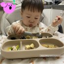 반찬고 | [후기 이유식] 무염반찬고집 엄마의 후기-완료기 식단표