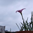 (주) 나루예