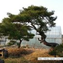 금현농장 이미지