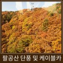 팔공산케이블카 | 대구 팔공산 실시간 단풍 및 팔공산 케이블카 후기(케이블카 할인 방법)