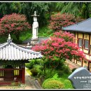 꽃피는 풍경 이미지