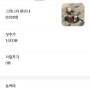 콘드
