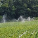 용단농장 이미지