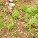 안산이농장 이미지