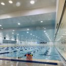 SWIM21어린이수영장 | 스윔21 (SWIM21) 관양점 . 안양 어린이 수영장 추천 .