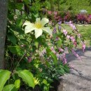 덕천마루 이미지