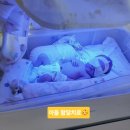 굿케어메디컬 G.C.M | 말레이시아에서 시험관비용, 병원 총정리( 인공수정→IVF→쌍둥이 출산까지 10년차 거주자 후기)