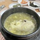 목포촌닭황칠나라 이미지