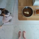 맛있개 냠냠 이미지