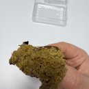 아마(AMA) 이미지