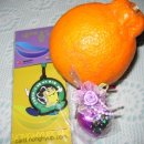 주식회사 우인 | 즐거운 중금달