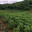 아주경로당(웅양면) 이미지