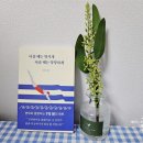 자기계발서 추천📚 응원 선물로 좋은 책! '다칠 때는 멋지게 아플 때는 당당하게'를 읽으며 자존감 키우기💕