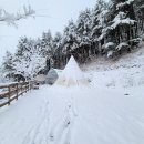 별드림캠핑장 이미지