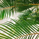 카페노이 이미지