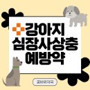 꽃바위약국 이미지