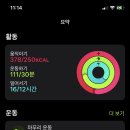 플랜드 이미지