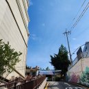 동덕여자고등학교 | 25.06.15-서초구청장기 배드민턴 대회(동덕여자고등학교, 동덕여고)