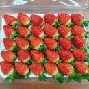 순영농장 이미지