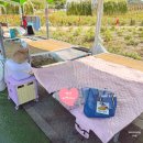 (주)에이치에스아쿠아피드 | 임실치즈테마파크 아쿠아페스티벌 개장 첫날 물놀이 후기 (꿀팁정보)