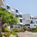 팜풀빌라 이미지