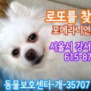 강서구-87 이미지