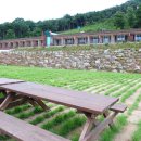 쌍둥이 펜션 이미지