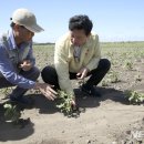 상모리-23 이미지