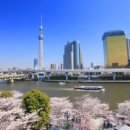 고향꽃화원 이미지