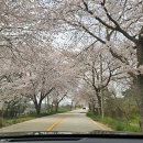 봄 당구장 이미지