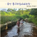 통나무오리 | 용인 통나무집바베큐장 오리백숙 계곡 물놀이 후기