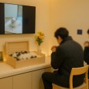 하늘강아지 반려동물 장례식장 이미지