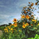 건지도서관 이미지