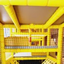 킹덤키즈-B 이미지