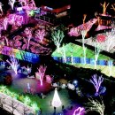 별빛마을 이미지