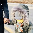 청송목장2 네이버블로그
