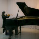 바이올린 이미지