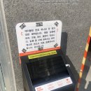 오늘은 샌드위치 | 파셀 샌드위치 구매 방법! 엑스 샌드위치 후기