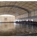 황산초지사계절바다낚시터 | 황산 초지 사계절 바다 낚시터 카페 사이트