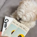 11650-1-10-702 | 강아지소변검사키트 CYM702 집에서 하는 반려견 건강체크 방법