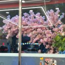 이연희산부인과 - 달서구 | 이연희산부인과